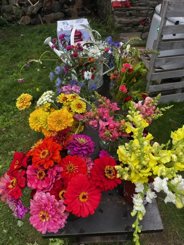 Hope Farms photo 9