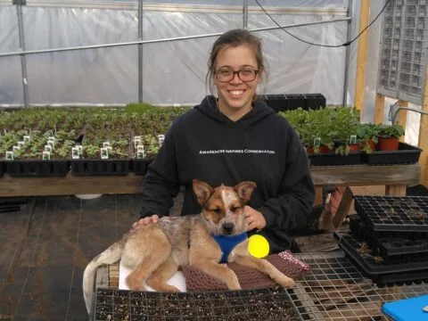 Lucky Dogs Farm photo 4