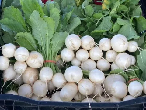 Lucky Dogs Farm photo 5