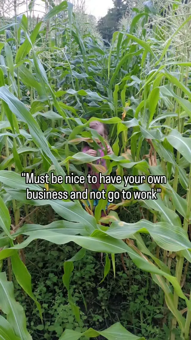 Mooseberry Farm photo 8