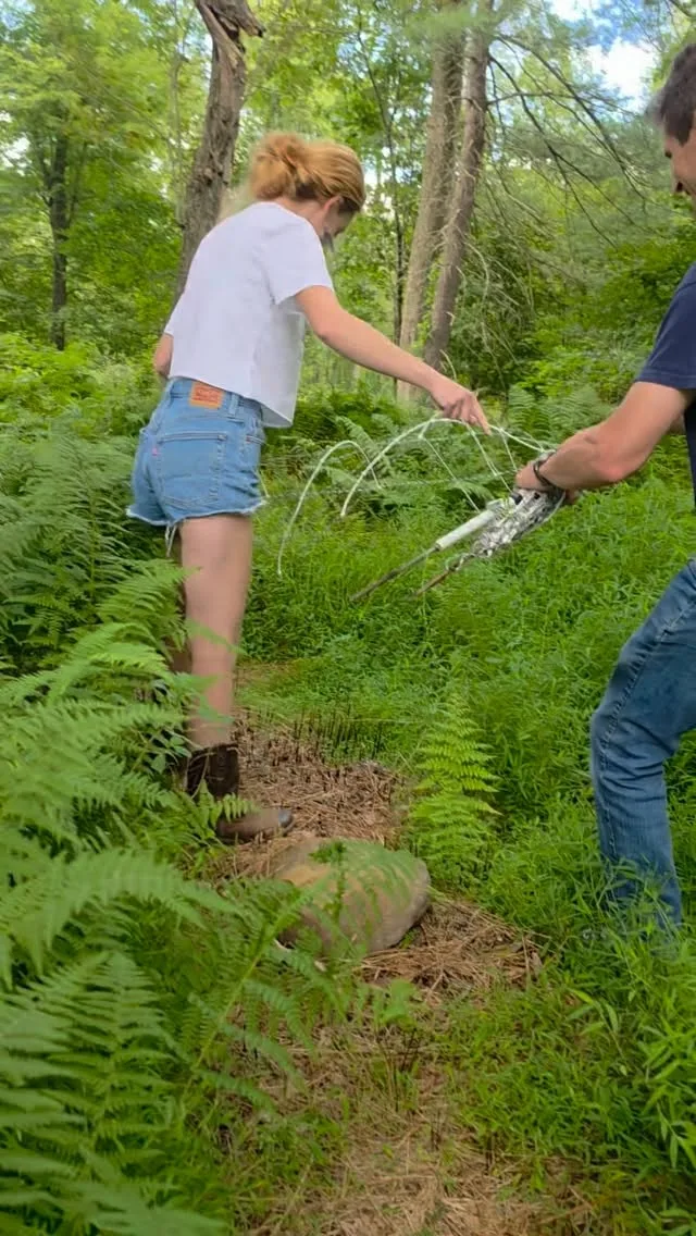 Mooseberry Farm photo 3