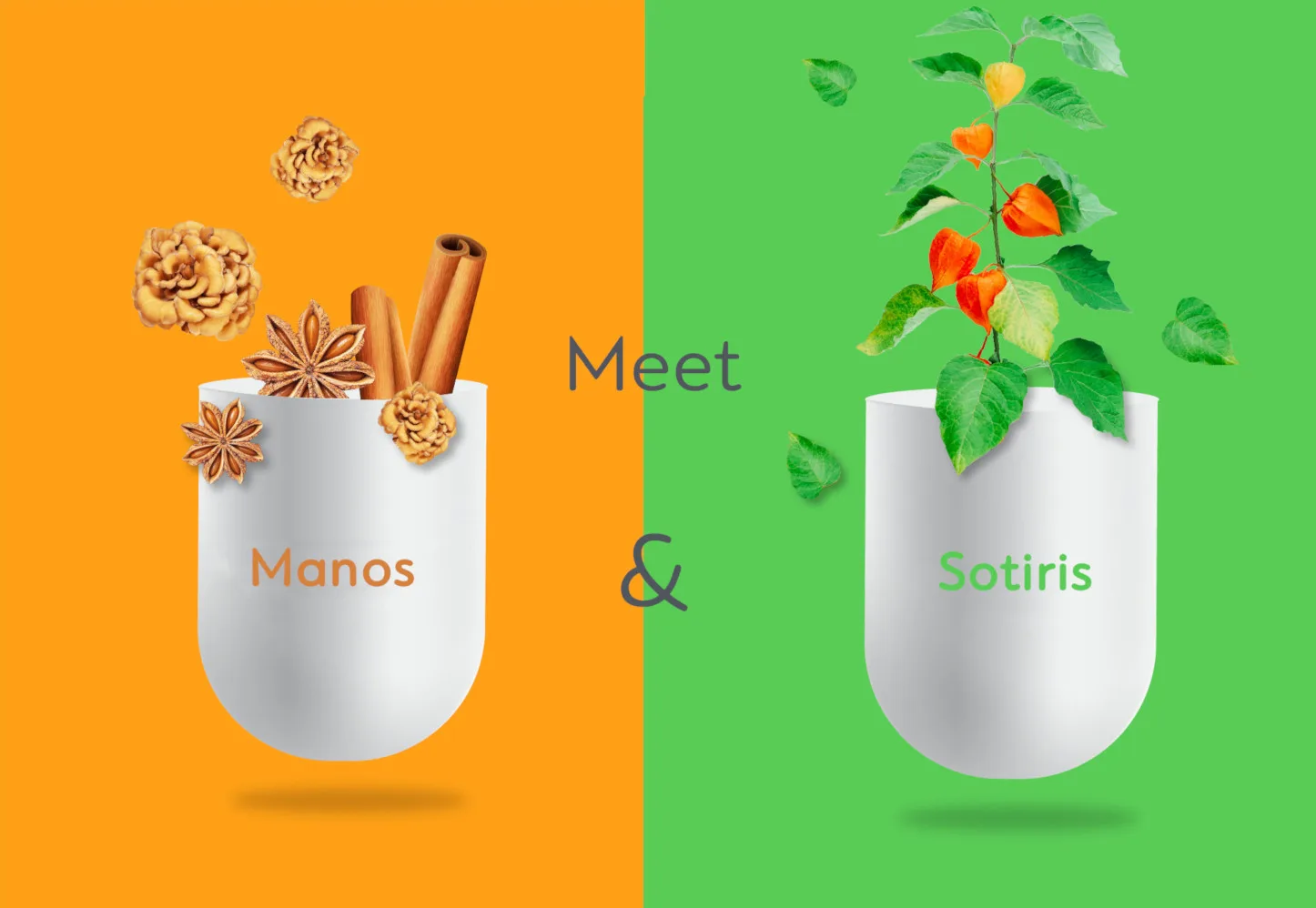 Nutramins photo 4