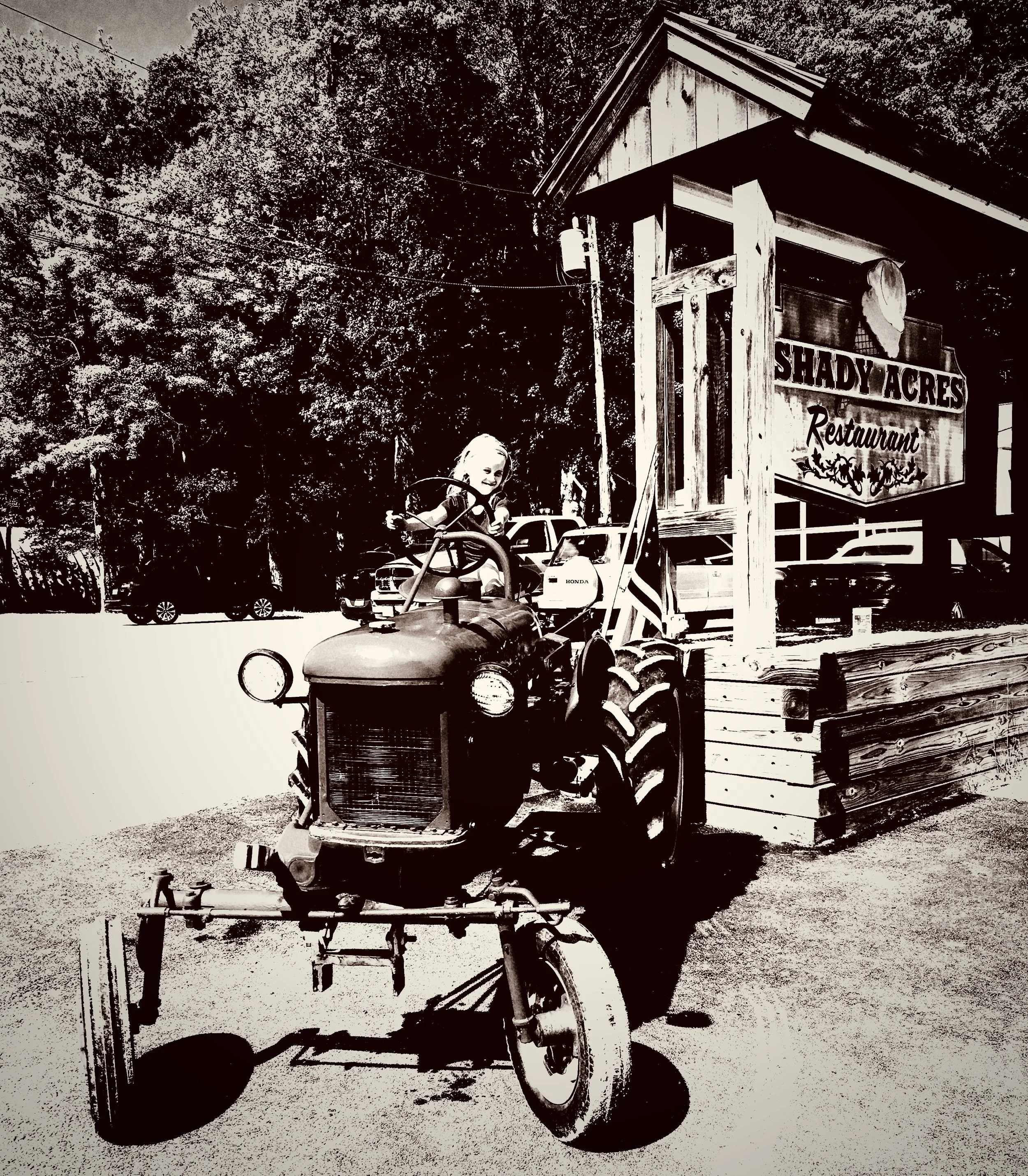 Shady Acres Diner photo 2