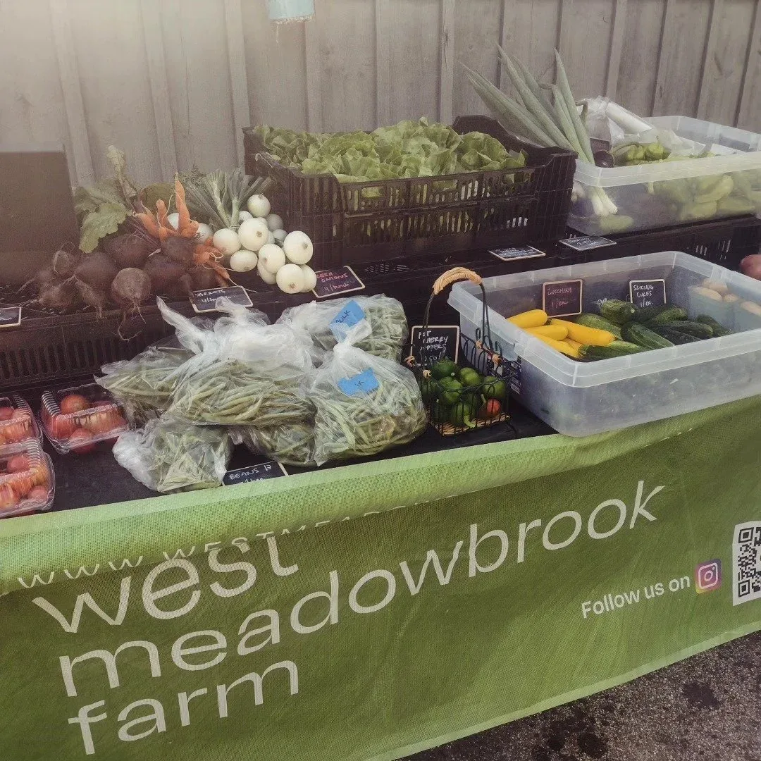 West Meadowbrook farm photo 6