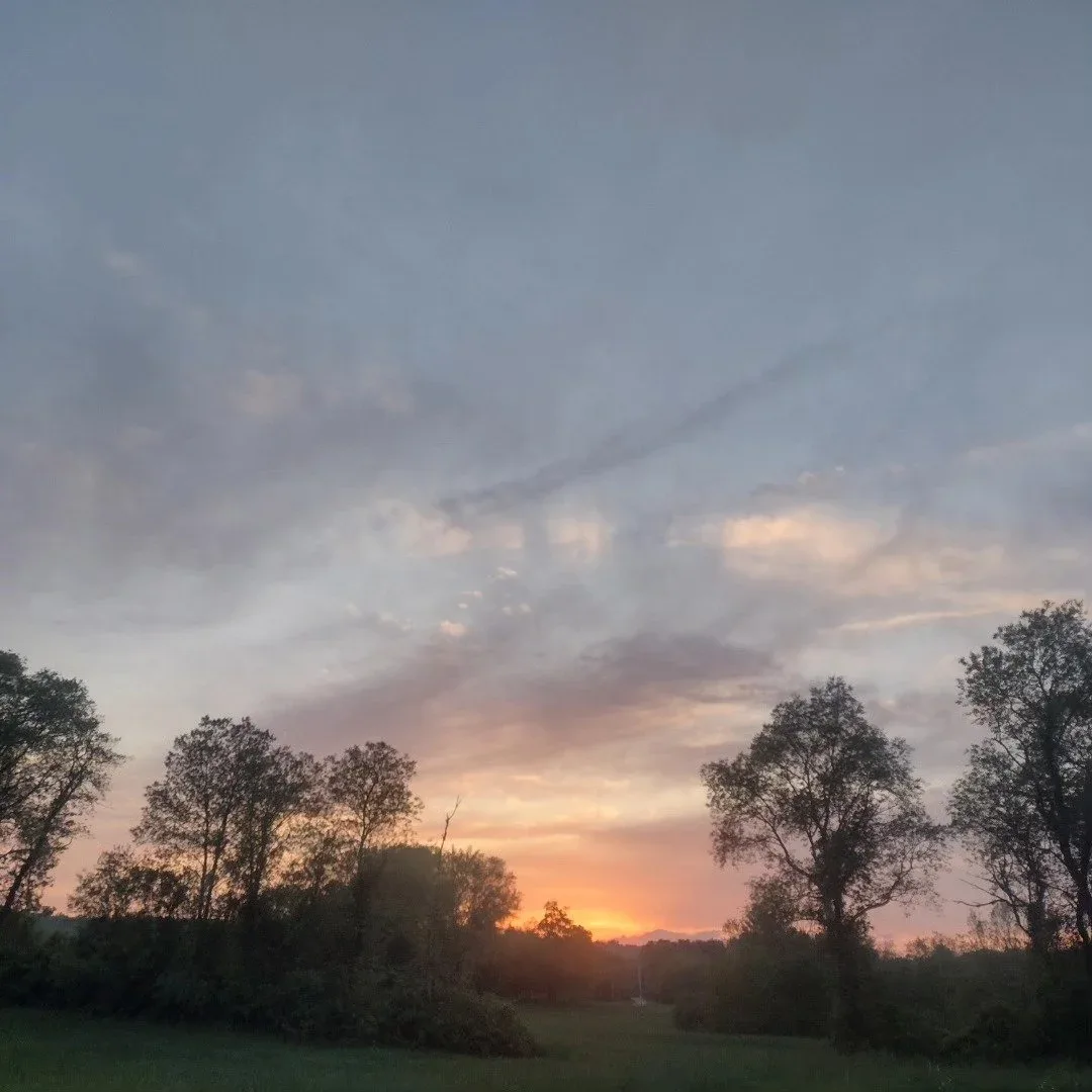 West Meadowbrook farm photo 10