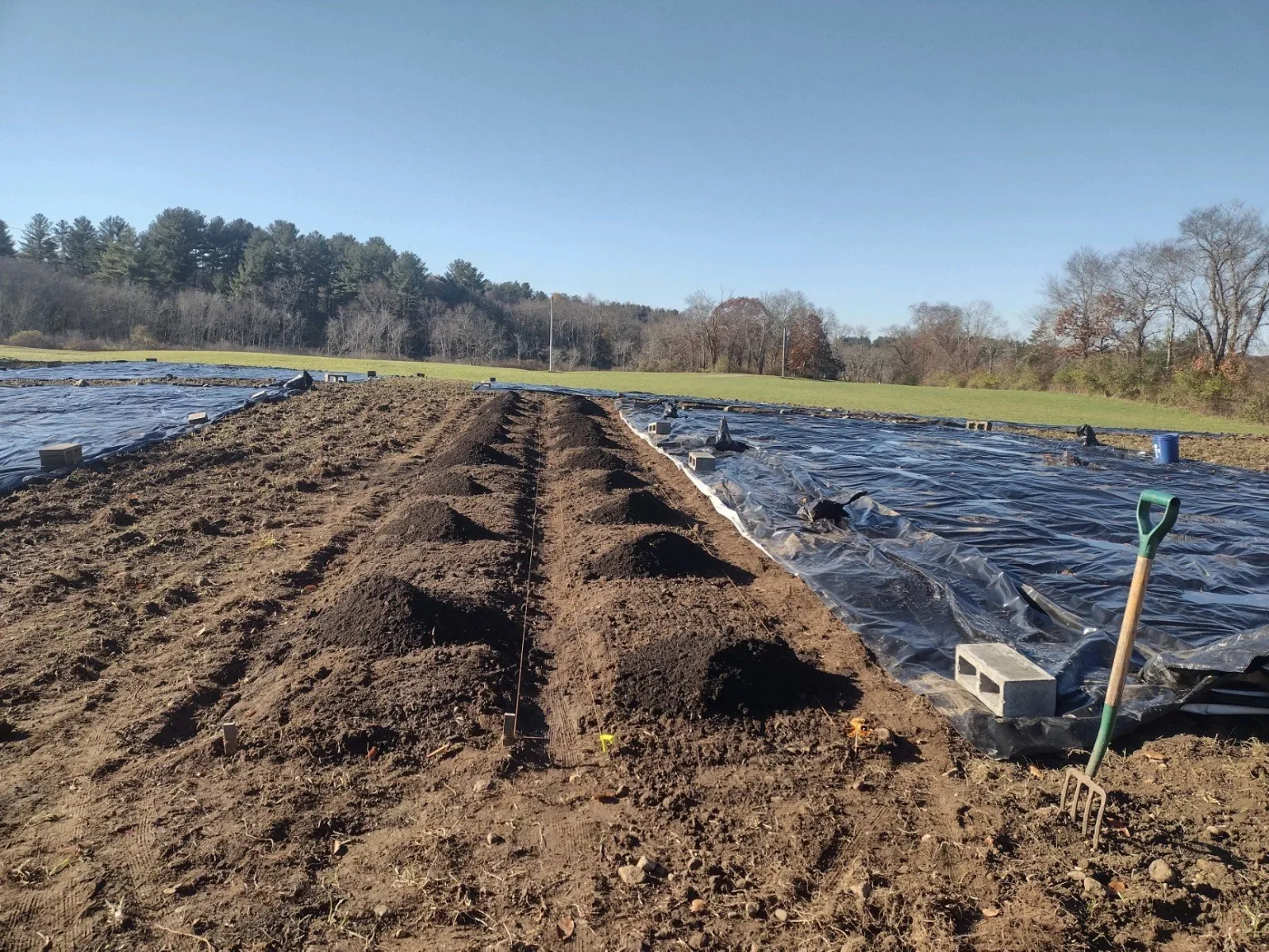 West Meadowbrook farm photo 7