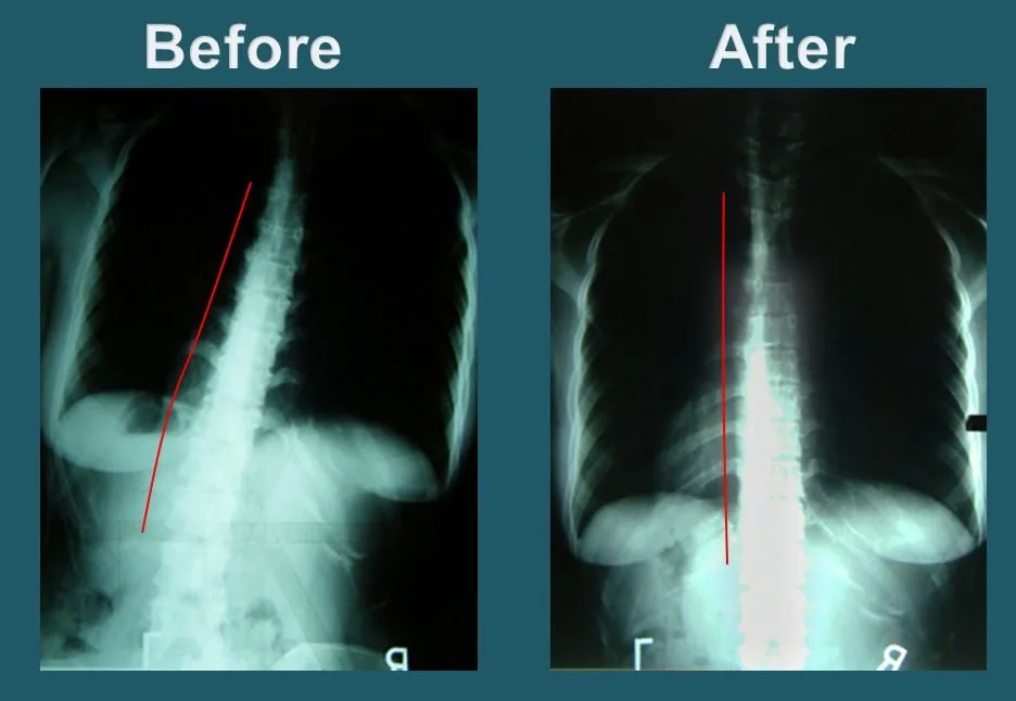 Yonsei Chiropractic Clinic photo 9