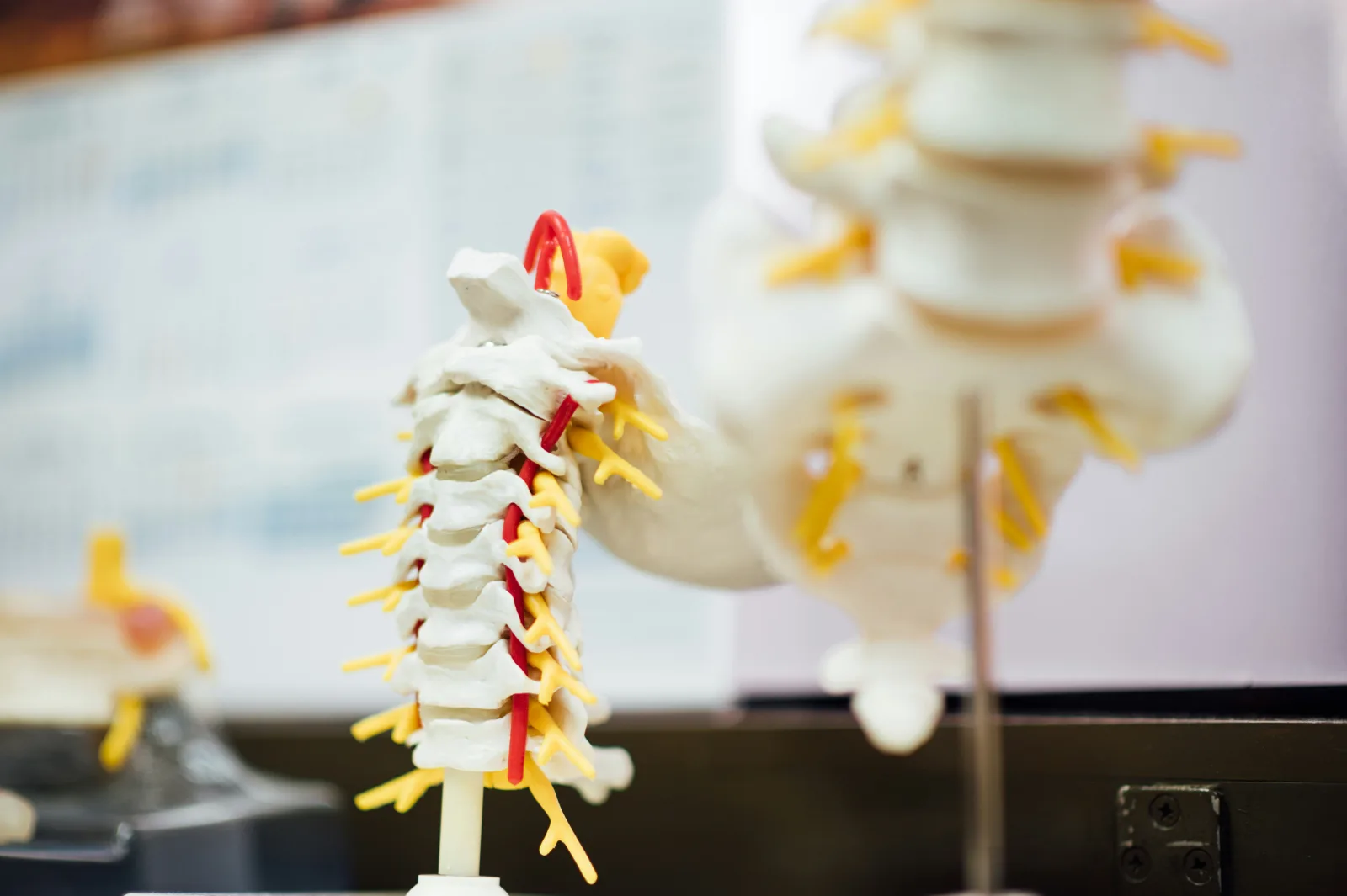Wilshire Center Chiropractic photo 3