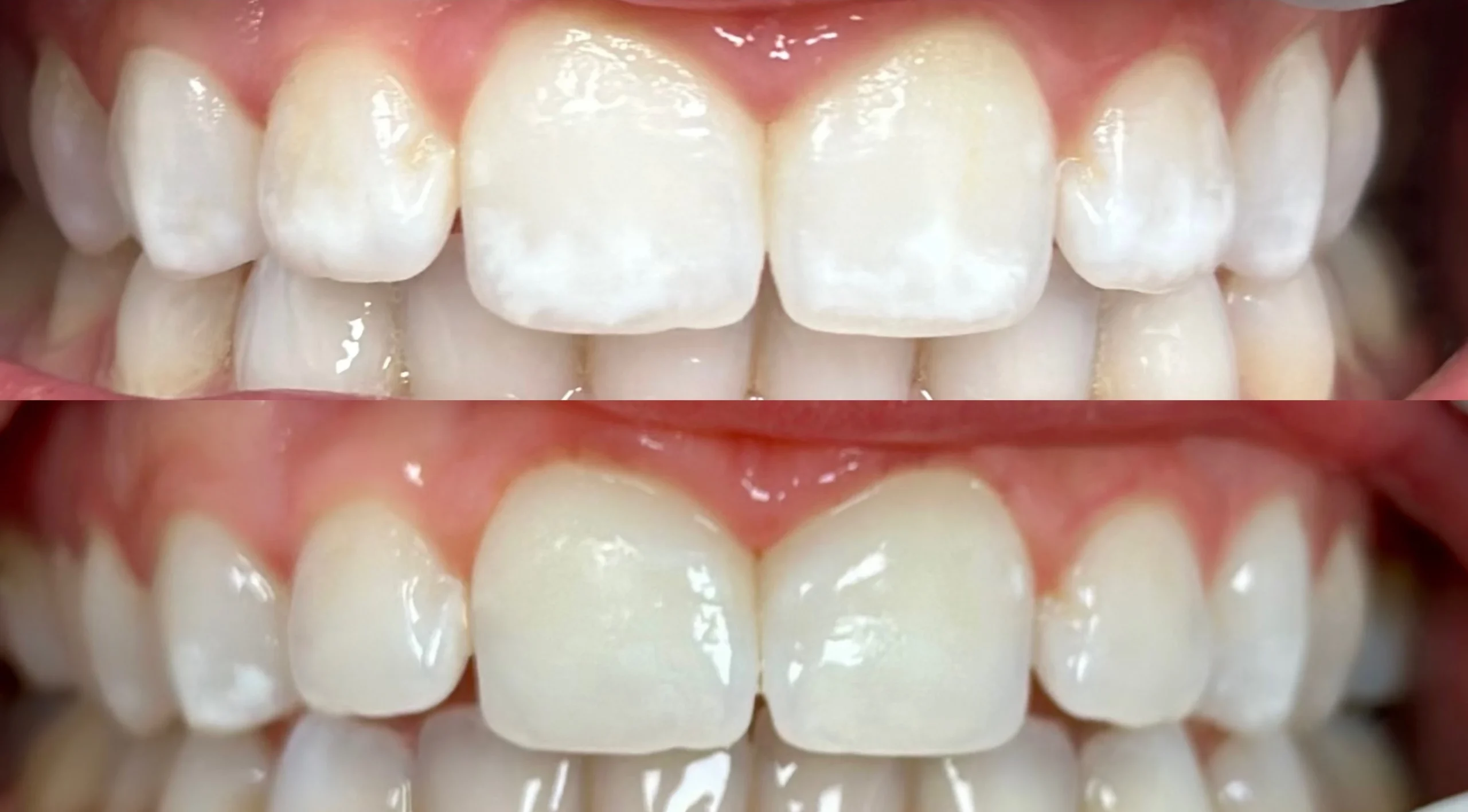 Fresh Dental