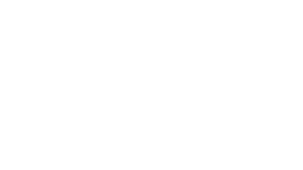 Crown Shy logo