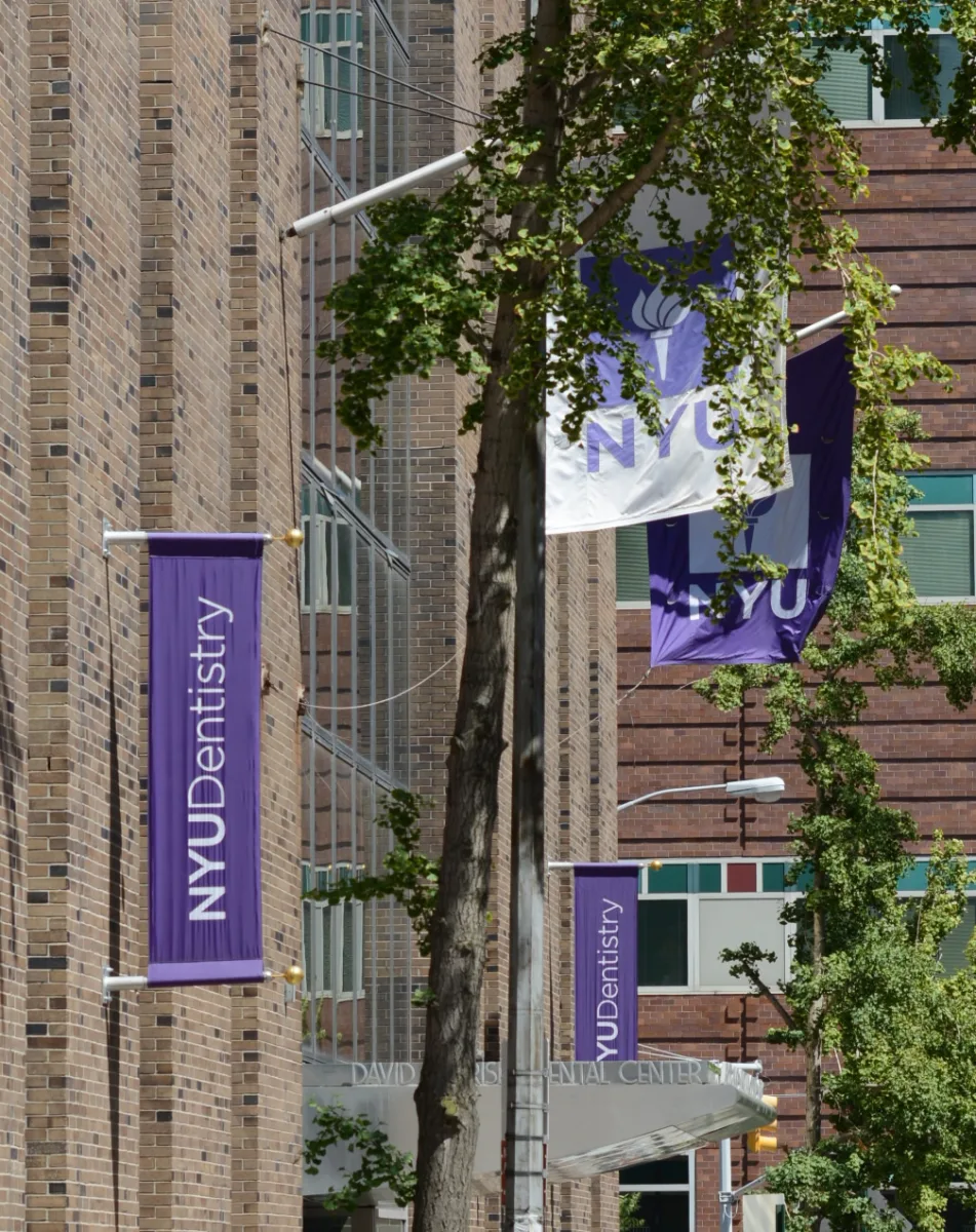 New York University College of Dentistry