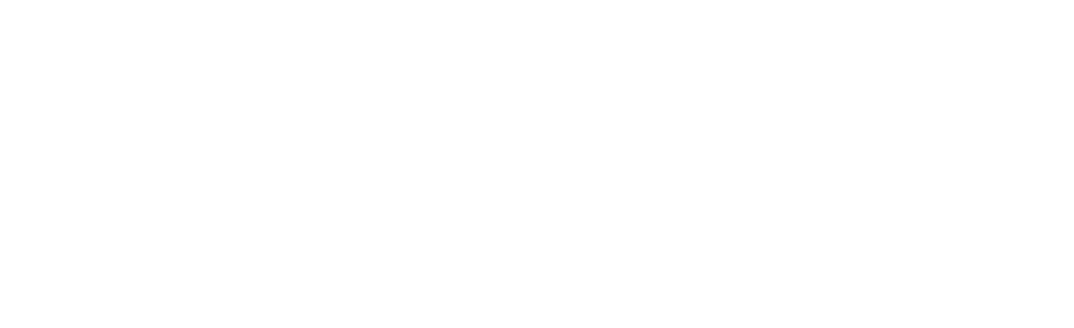 Levin & Perconti logo
