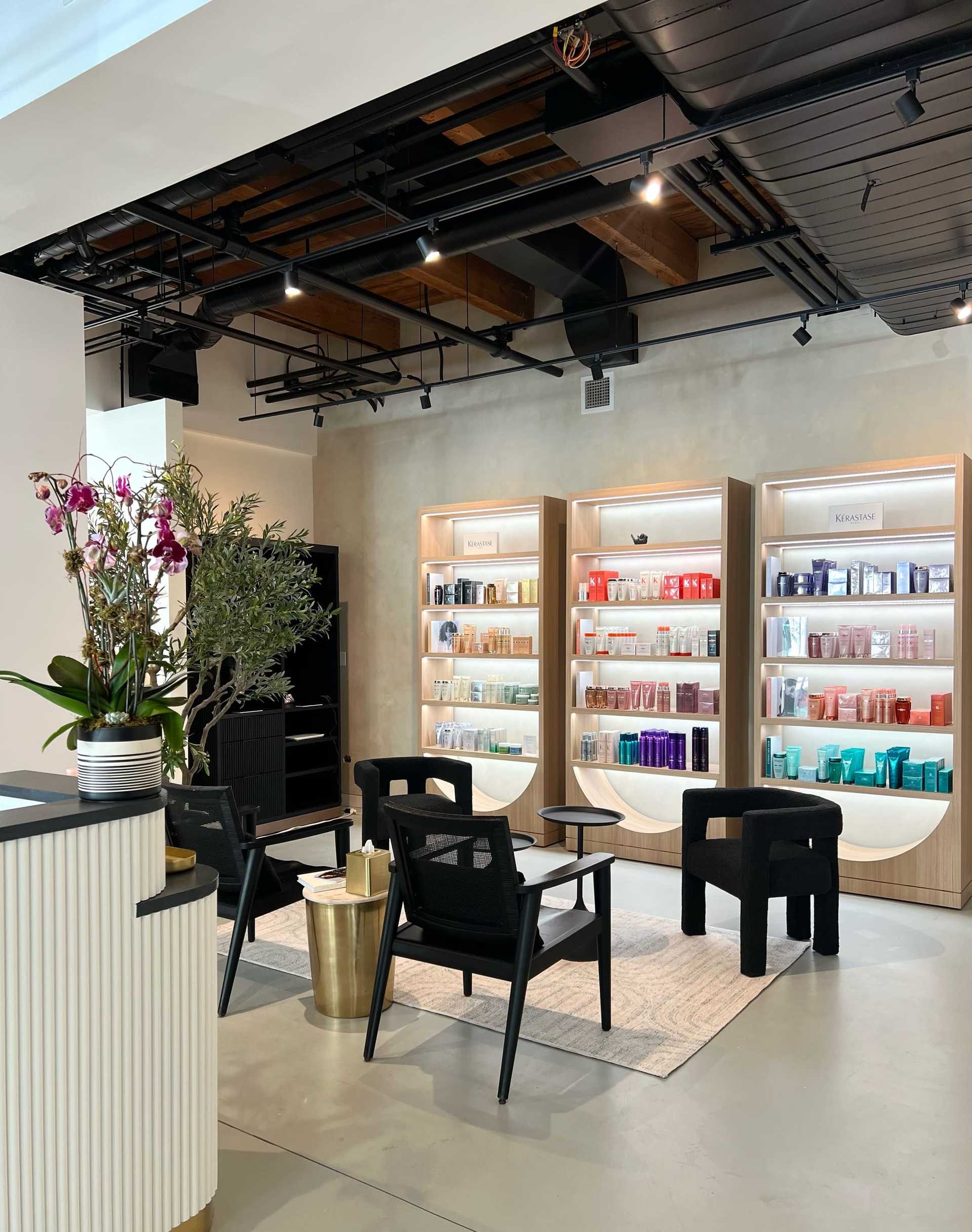Salon 833 Chicago | Custom Hair Color, Hair Cutting , Hair Extensions