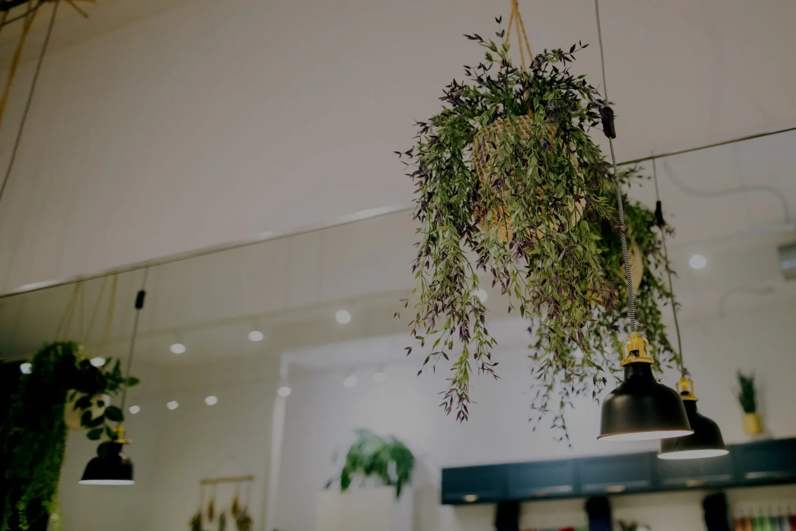 Lavender Park Hair Salon photo 4