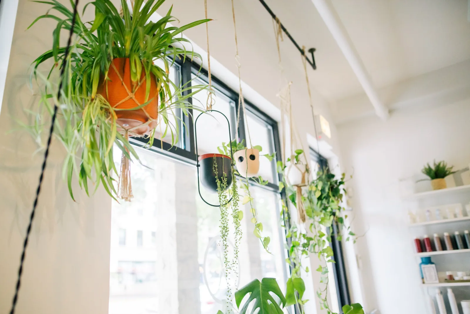 Lavender Park Hair Salon